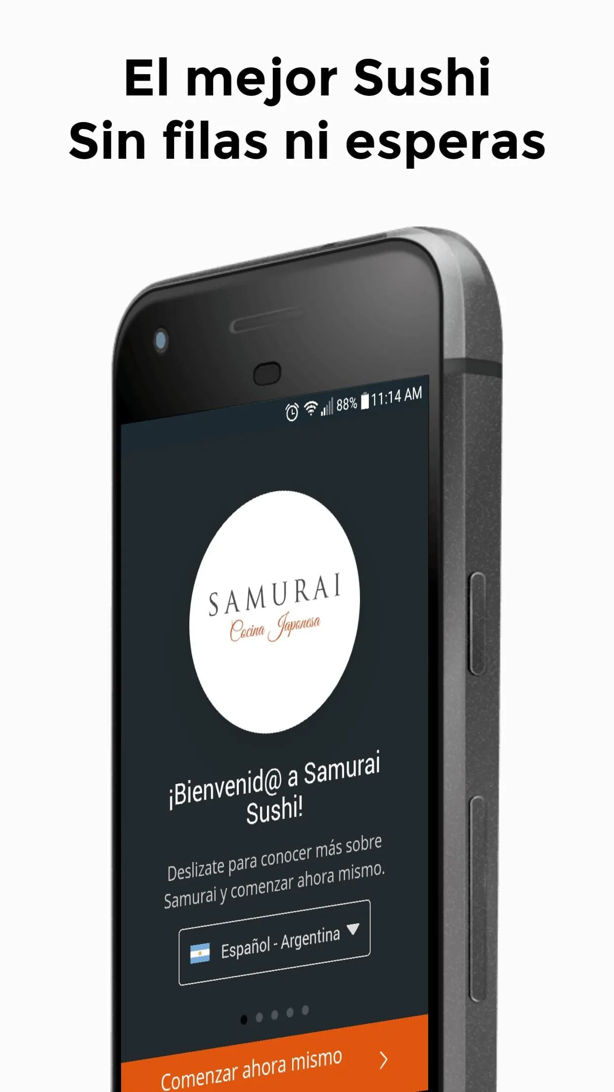 Samurai Sushi Cocina Japonesa