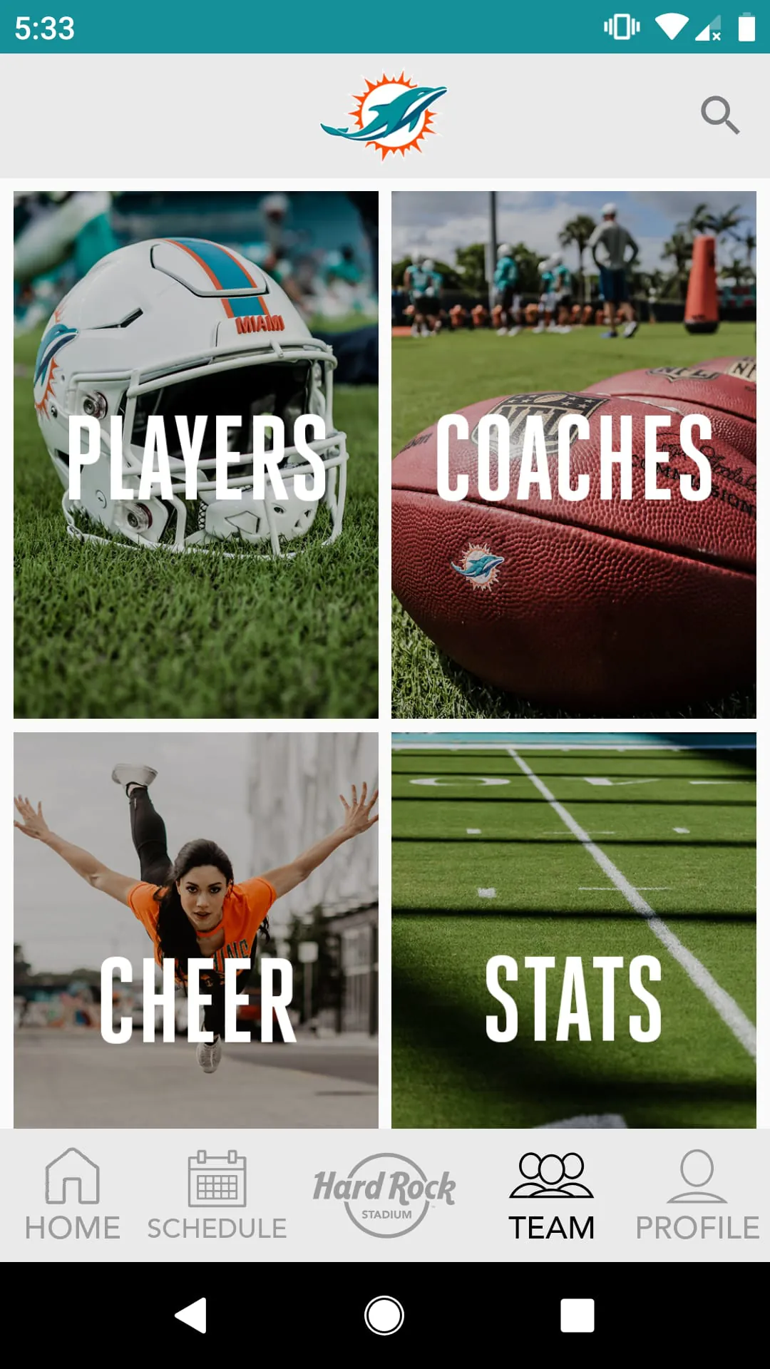 Miami Dolphins